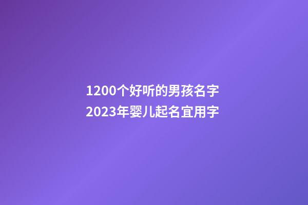 1200个好听的男孩名字 2023年婴儿起名宜用字